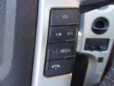 2010 Ford F-150 Platinum