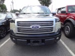 2010 Ford F-150 Platinum