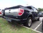 2010 Ford F-150 Platinum