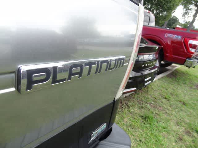 2010 Ford F-150 Platinum
