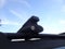 2014 Toyota Tacoma 4WD Double Cab V6 AT (Natl)