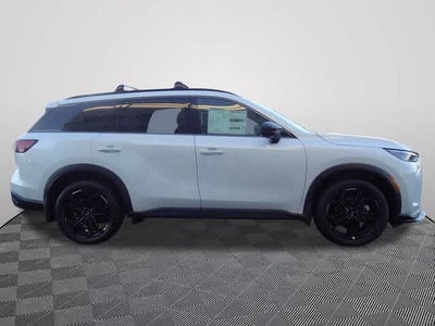 2026 INFINITI QX60 SPORT